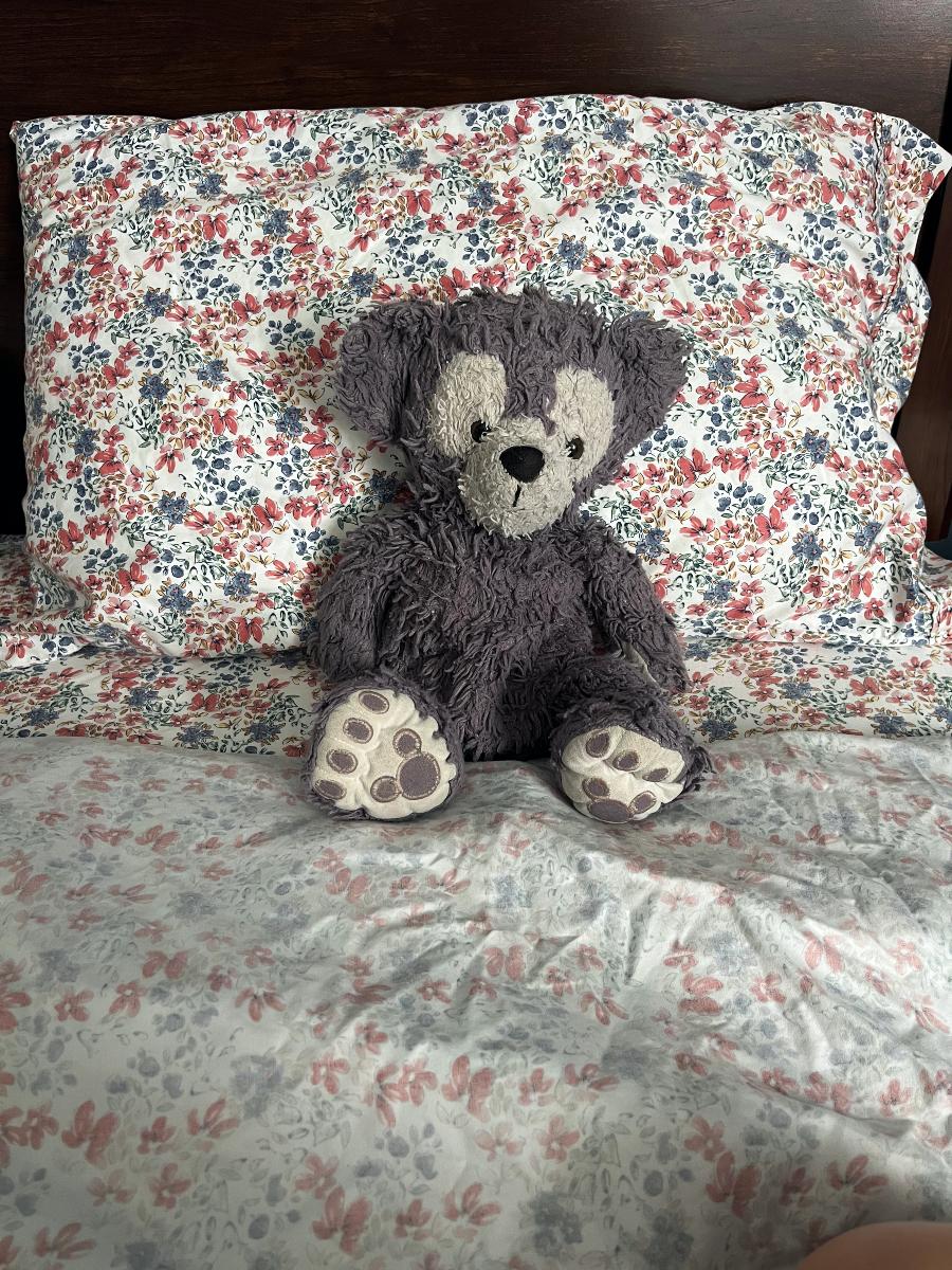 a shabby gray teddy bear, named Kronk, sits against a pillow. The sheets are white with a pink and blue flowered pattern
