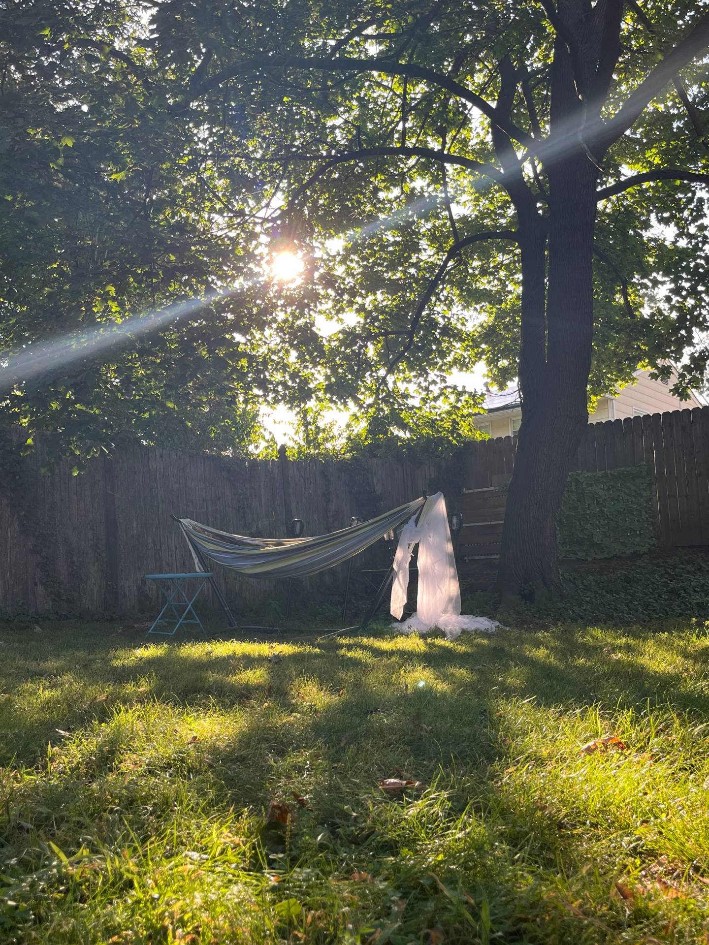 a hammock in a green backyard; there is a white mosquito net wrapped around the frame. The sunlight is peeking through the trees, the photo is hazy