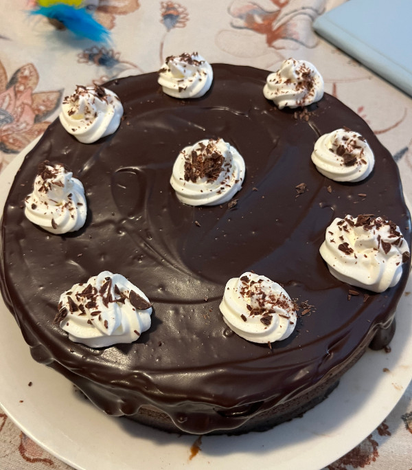 a chocolate cheesecake with eight dollops of whipped cream and chocolate 