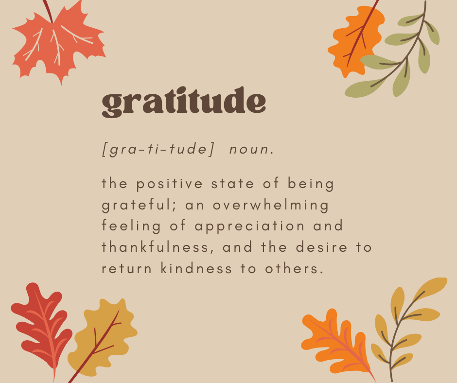 the positive state of being grateful; an overwhelming feeling of appreciation and thankfulness, and the desire to return kindness to others.