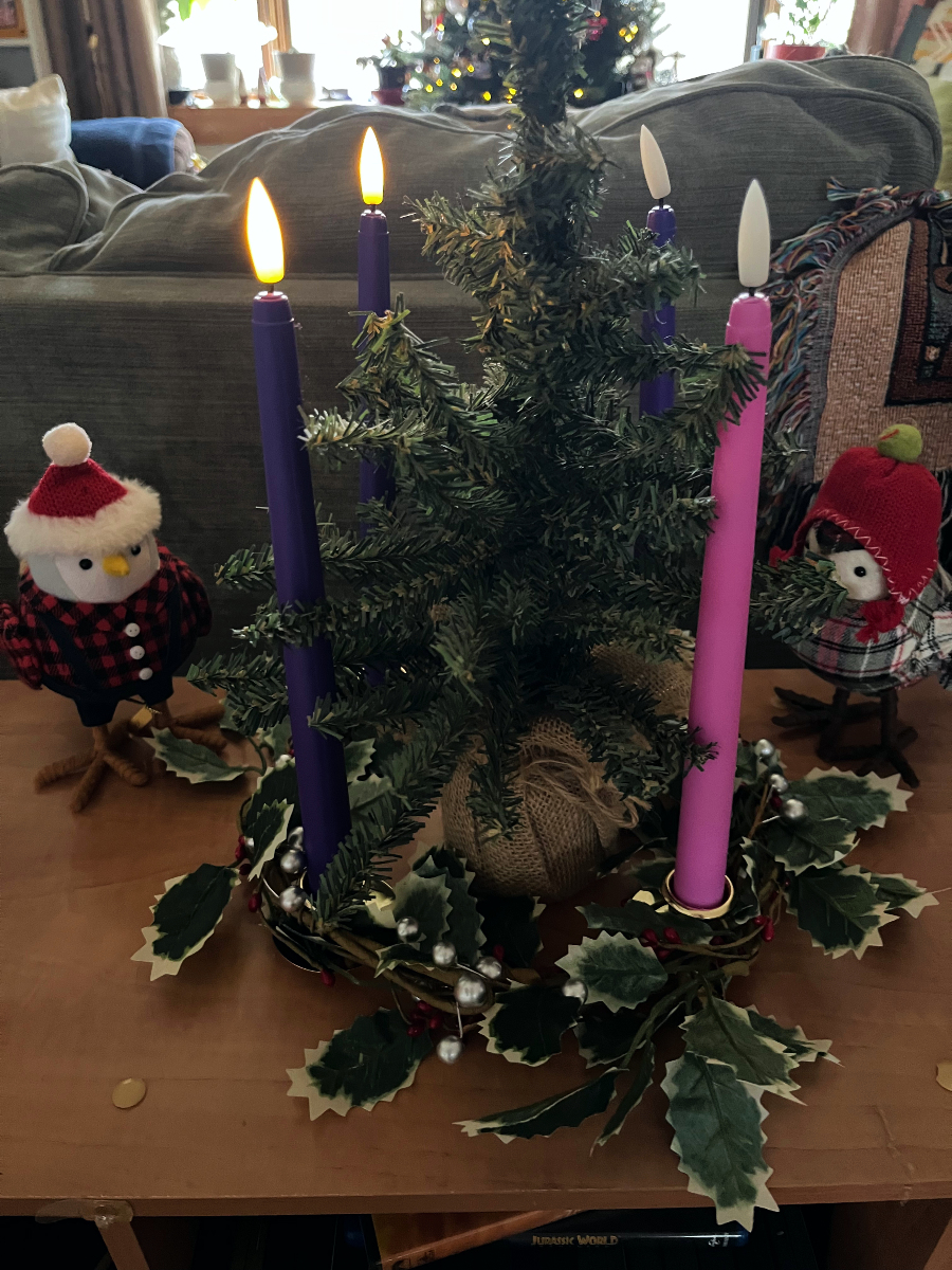 an advent wreath with 2 candles lit and 2 little bird figurines