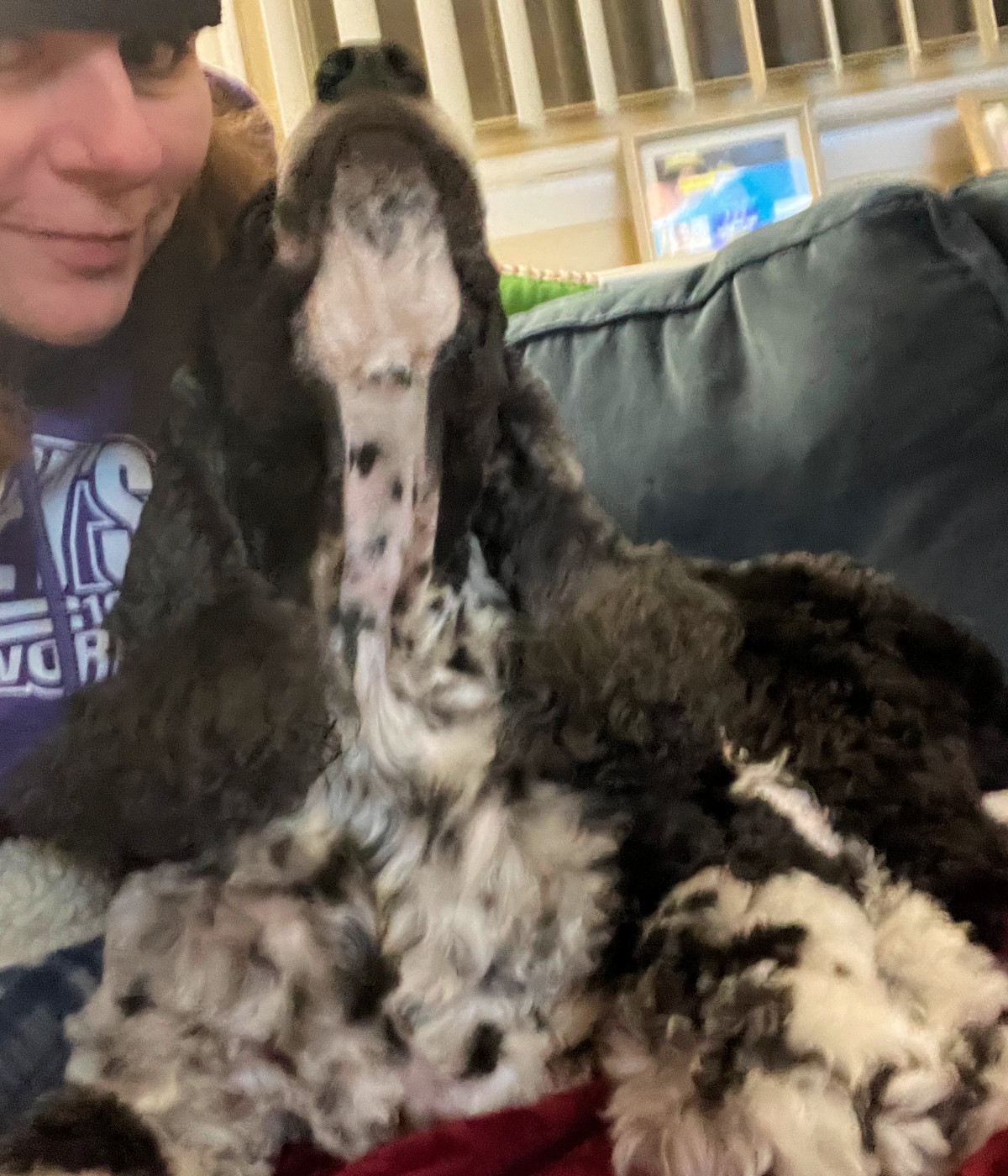 a selfie but it's mostly murphy, his snoot high in the air