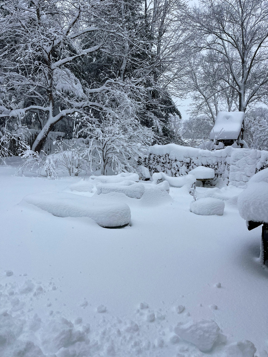 a snowy shot of my backyard, the raised garden beds are just mounds of snow